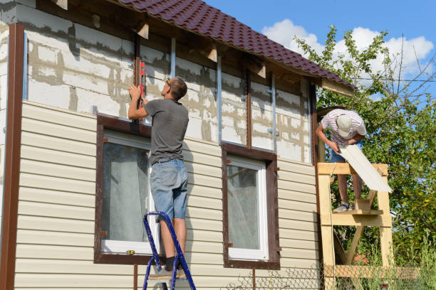 Best Fascia and Soffit Installation  in Louisa, KY
